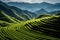 Panoramic Beauty of Longji Rice Terraces