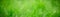 Panoramic Blurred Green Nature Summer Spring Background