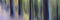 Panoramic blurred shot of a forest