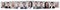 Panoramic collage of portraits of successful business people