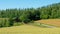A panoramic country road in Biei through a golden rice farm and