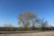 Panoramic country road at morning