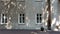 Panoramic detailed view of Building exterior under tree shade with bunch of retro windows and plant kept on concrete road next to