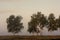 Panoramic early morning view of wetlands and meadows under dawn fog by the Biebrza river in Poland