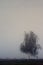 Panoramic early morning view of wetlands and meadows under dawn fog by the Biebrza river in Poland