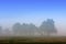 Panoramic early morning view of wetlands and meadows under dawn fog by the Biebrza river in Poland