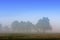 Panoramic early morning view of wetlands and meadows wildlife refuge under dawn fog by the Biebrza river in Poland