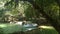 Panoramic exotic beautiful tropical deep rainforest waterfall Fresh waterfalls in deep forest