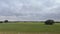 Panoramic of an extensive Spanish meadow in early spring