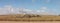 Panoramic of a fallen dried dead native tree left to become native animal habitat by the edge of a farm field in rural Victoria,