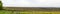 Panoramic field of sunflowers and plowed land