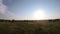 Panoramic FPV flight over wooded meadows at sunset