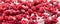 Panoramic full background of frozen raspberries with ice and snow pieces