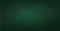 Panoramic green background texture blackboard - Vector