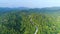 Panoramic green forest nature landscape drone view