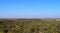 Panoramic Green Landscape of a Prosopis Juliflora forest captured from a Hill - A Natural Background with Blue Sky