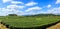 panoramic green tea plantation, Chiang Mai Province Thailand, blue sky background