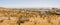 Panoramic high desert cityscape scenery