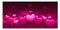 Panoramic horizontal pink abstract Valentines day background