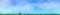 Panoramic illustration of a grass line under a blue almost cloudless sky
