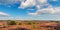 Panoramic image of blooming heathland at the Veluwe