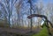 Panoramic image of deciduous winter forest with long shadows in low sun with moss covered tree trunk in foreground