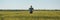 Panoramic image of middle-aged farmer with hands on hips standing in unripe barley crops field and looking over plantation,