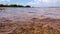 PANORAMIC LAKE IN SUMMER WITH SUN