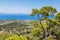 Panoramic landscape of Aegina island