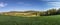 Panoramic landscape with alley, fields and forest