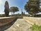 Panoramic landscape at archaeological excavations in Ostia Antica with wonderful plants in perfect environment - with pleasant