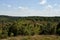 Panoramic landscape at basin Totengrund in Luneburg Heath