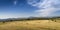 Panoramic landscape of cereal field packed in the mountain area.