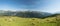 Panoramic landscape with cows grazing on a green alpine meadow