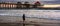 Panoramic Landscape of the Famous Huntington Beach Pier at Sunset