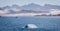 Panoramic landscape of icebergs and mountains in Prince Christian Sound, South Greenland