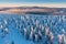 Panoramic landscape of Jizera Mountains, view from peak Izera with frosty spruce forest, trees and hills. Winter time