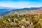 Panoramic landscape with mountain and green hills