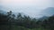 Panoramic landscape mountain view of tea plantations, Munnar, Kerala, India, on a foggy mo