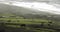 Panoramic landscape with an ocean coast and a meadow with cows in cloudy afternoon