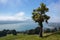 Panoramic landscape Otago Bay Dunedin