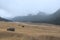 Panoramic landscape view of beautiful Yumthang valley or Sikkim Valley of Flowers sanctuary, a popular tourist attraction in North