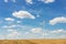 Panoramic landscape view of new white modern wind turbine farm power generation station against clear blue sky and field