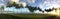 Panoramic landscape view of a Row of palm trees in Port Douglas