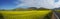 Panoramic landscape with yellow flowers