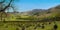 Panoramic looking to Borrowdale, Lake District