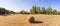 Panoramic Meadow with Grass Mowed