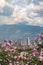 Panoramic of Medellin City