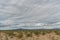 Panoramic Mojave desert vista in springtime after the rain