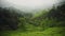 Panoramic mountain landscape view of tea plantations, Munnar, Kerala, India, on a foggy da